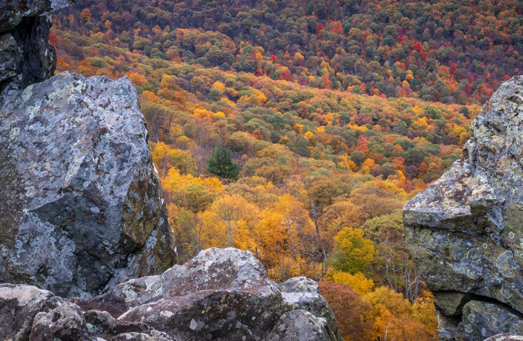 Mountain view from Stony Man Trail overlooking fall foliage in Shenandoah National Park