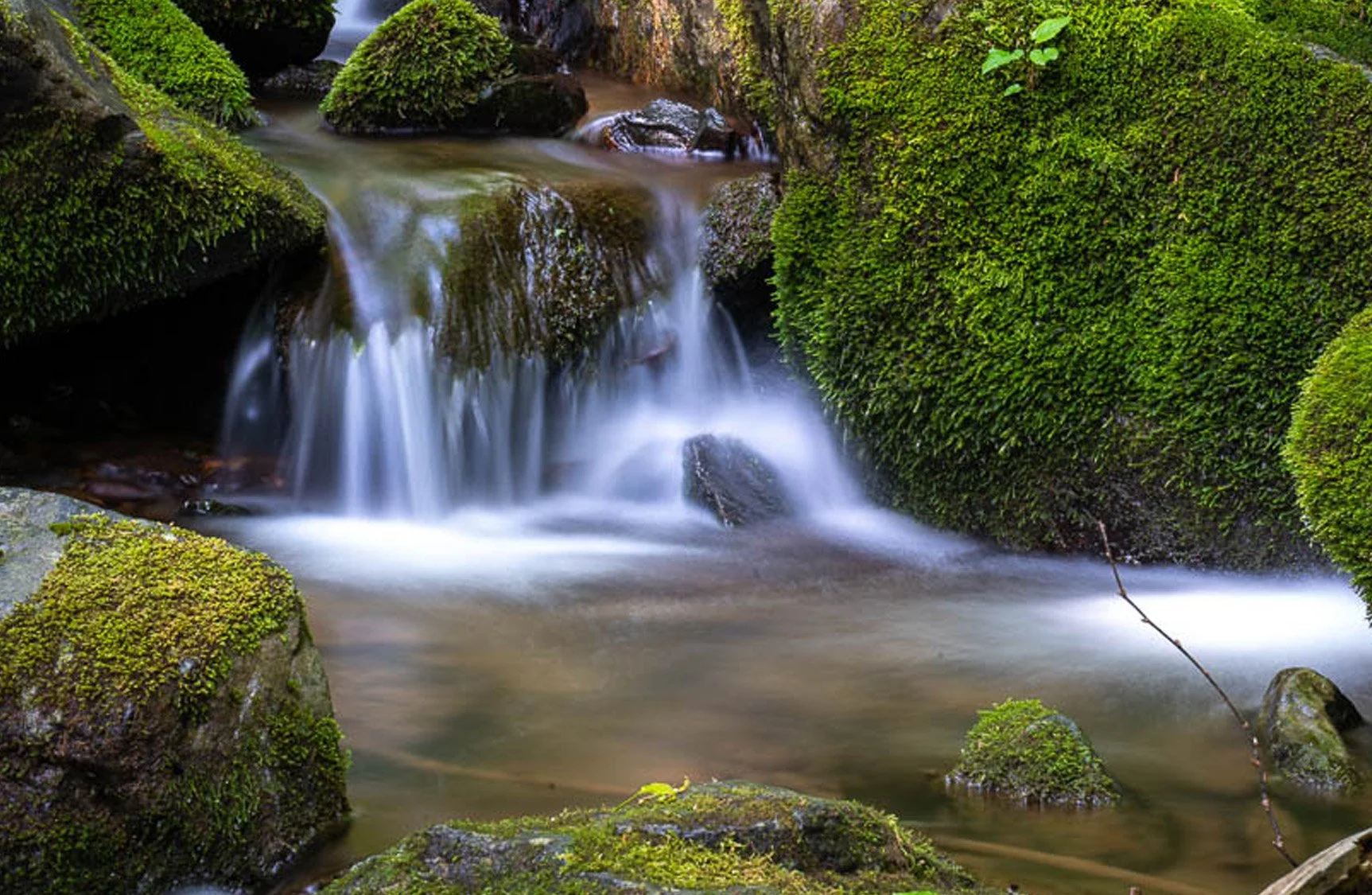 Smooth flowing waterfall cascading over moss-covered rocks at Overall Run Falls in Shenandoah National Park, surrounded by forest and rocky terrain.