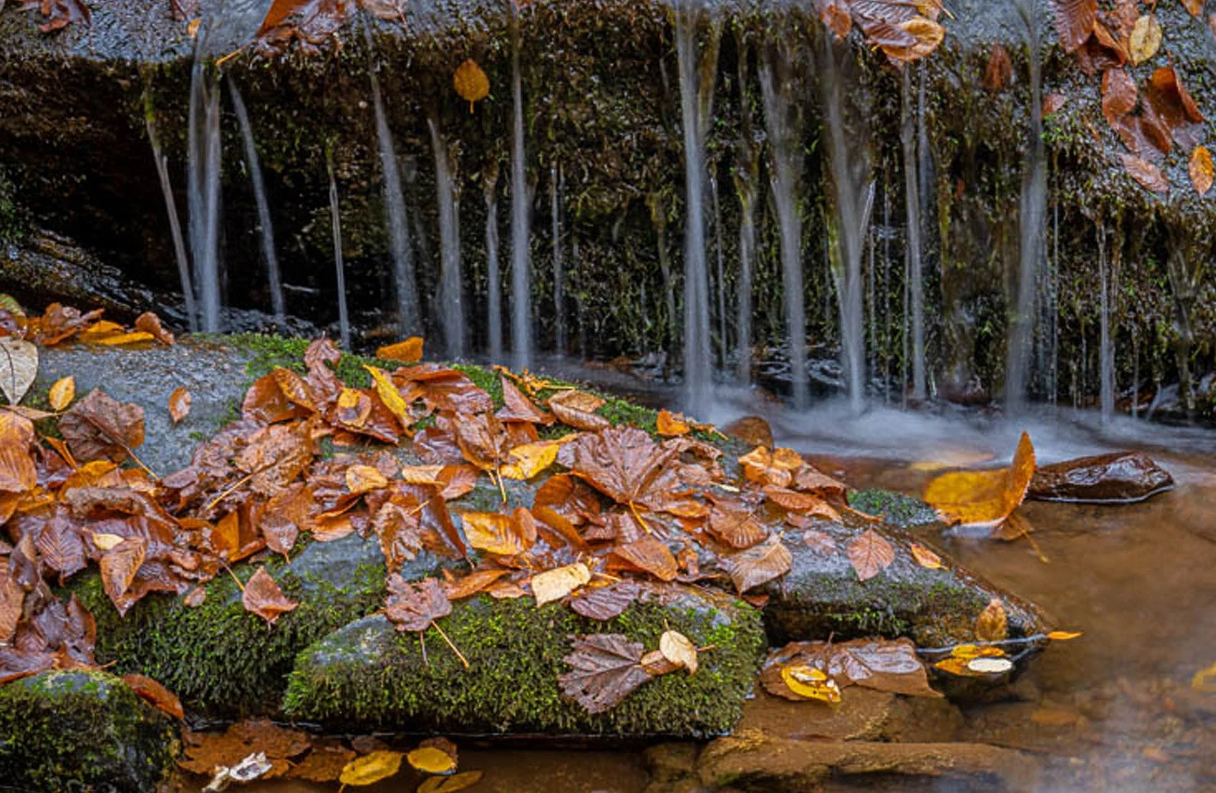 Lewis Falls Hike (Shenandoah National Park Trail Guide &amp; Waterfall Views)