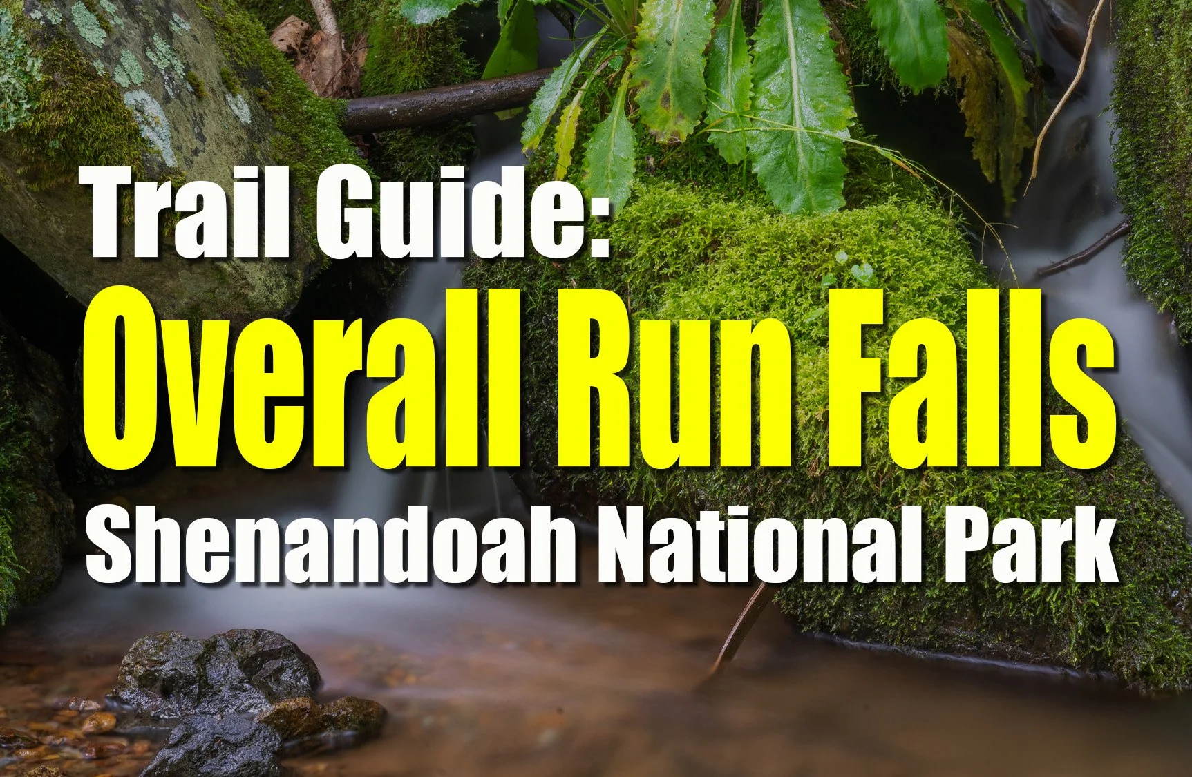 Overall Run Falls Hike (Shenandoah National Park Trail Guide &amp; Waterfall Photos)