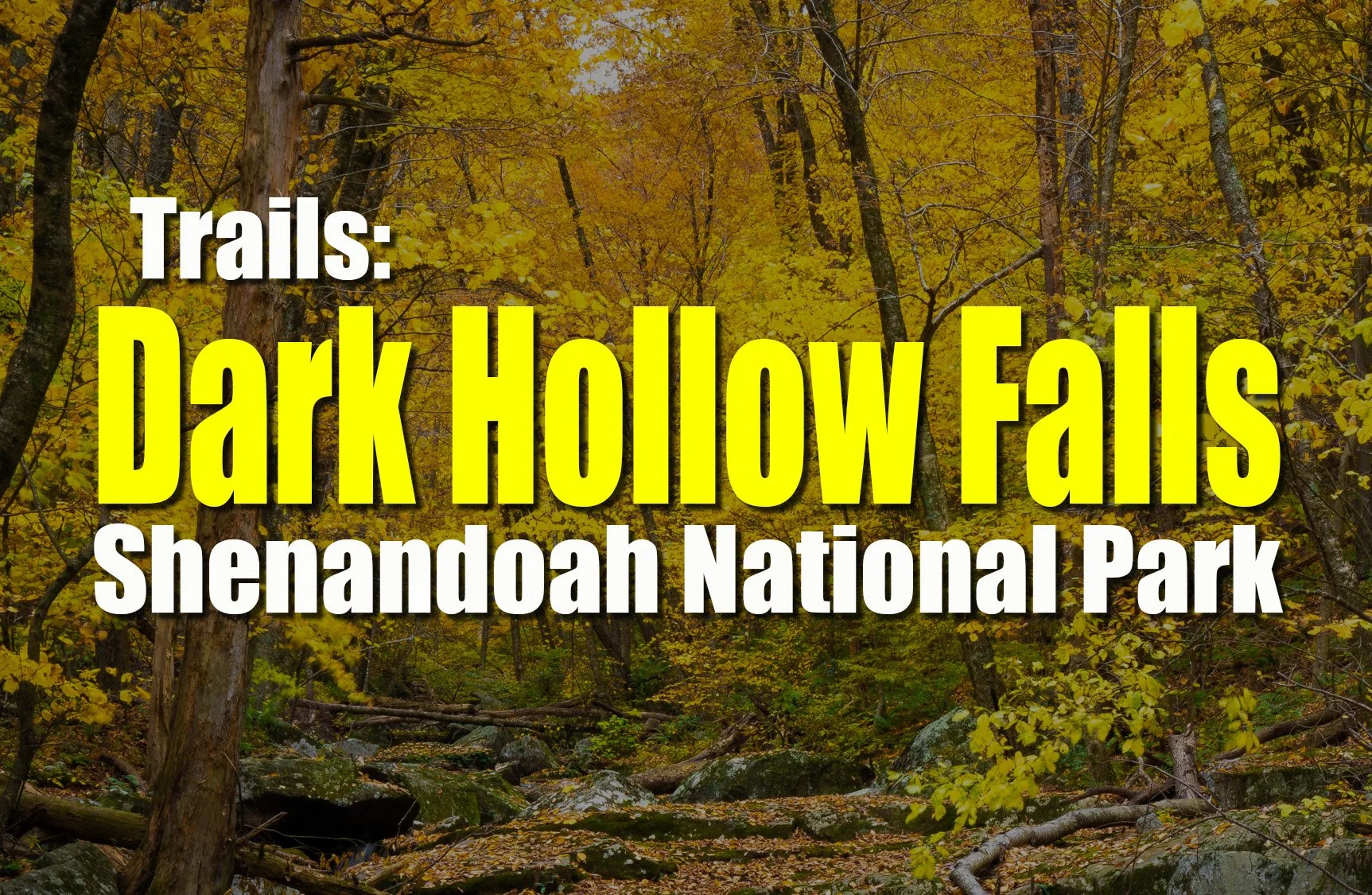 Dark Hollow Falls Hike in Shenandoah National Park – Trail Guide &amp; Waterfall Photos