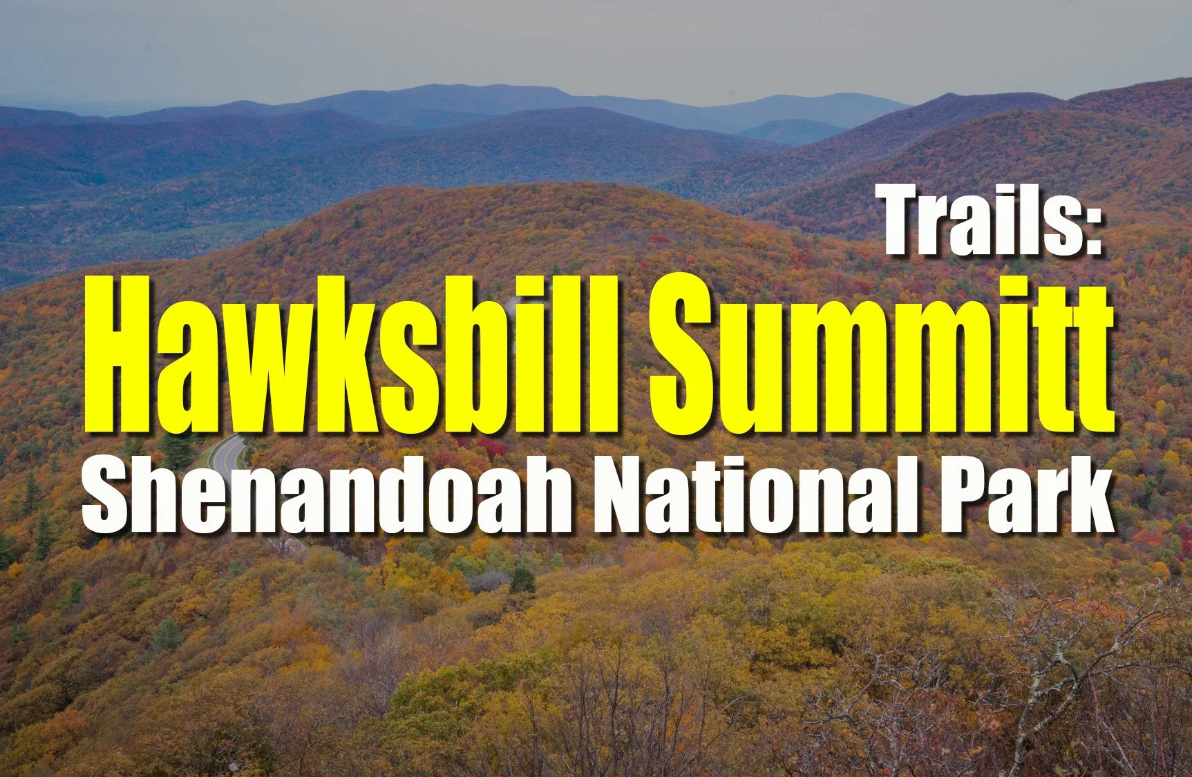 Hawksbill Summit Hike – Highest Point in Shenandoah National Park