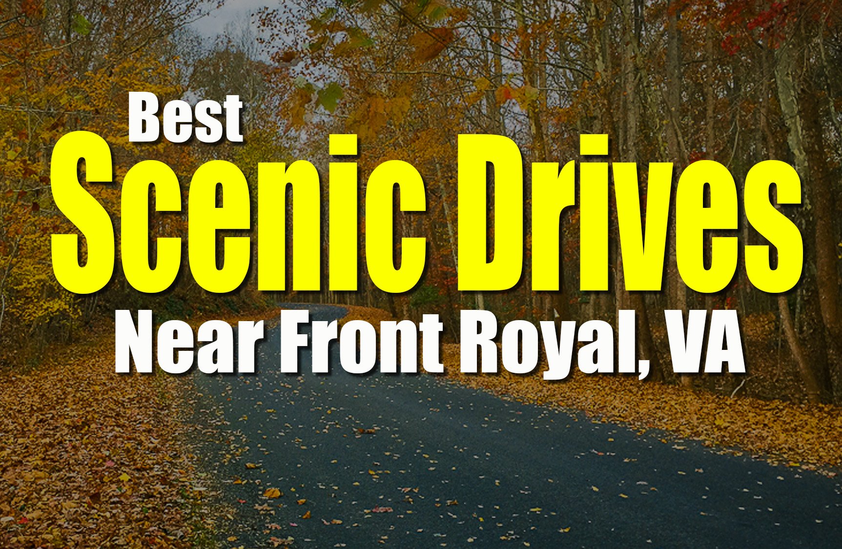 Best Scenic Drives Near Front Royal VA – Routes, Views &amp; Hidden Gems