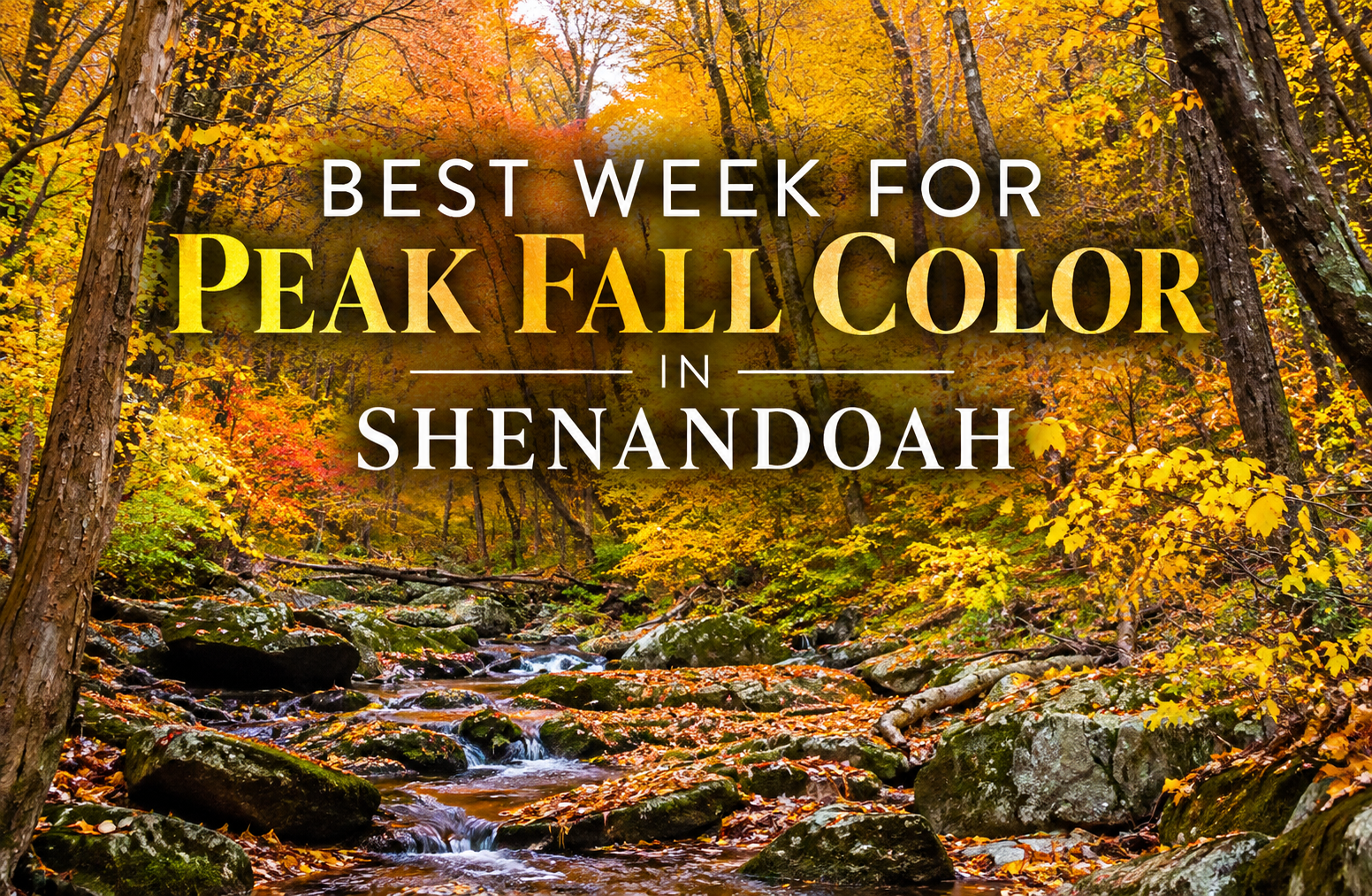 Best Week for Peak Fall Color in Shenandoah and Virginia’s Blue Ridge