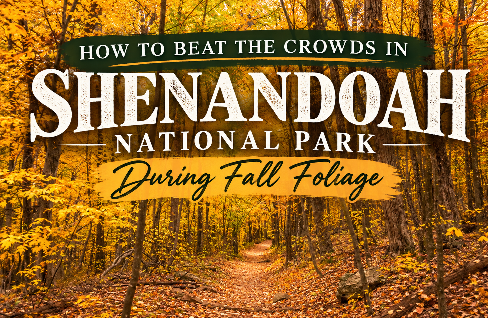 How to Beat the Crowds in Shenandoah National Park During Fall Foliage