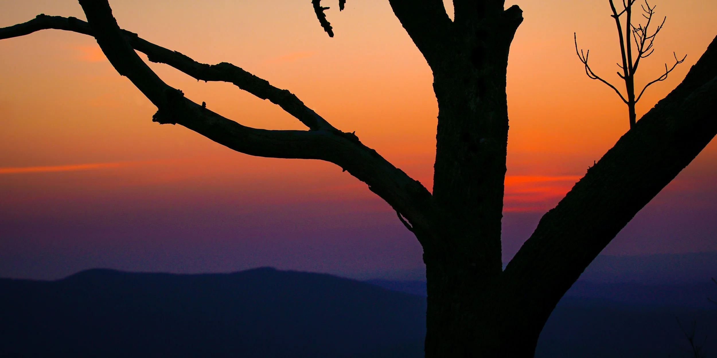 Morning at the Overlook Shenandoah National Park Sunrise photograph by Scott Turnmeyer