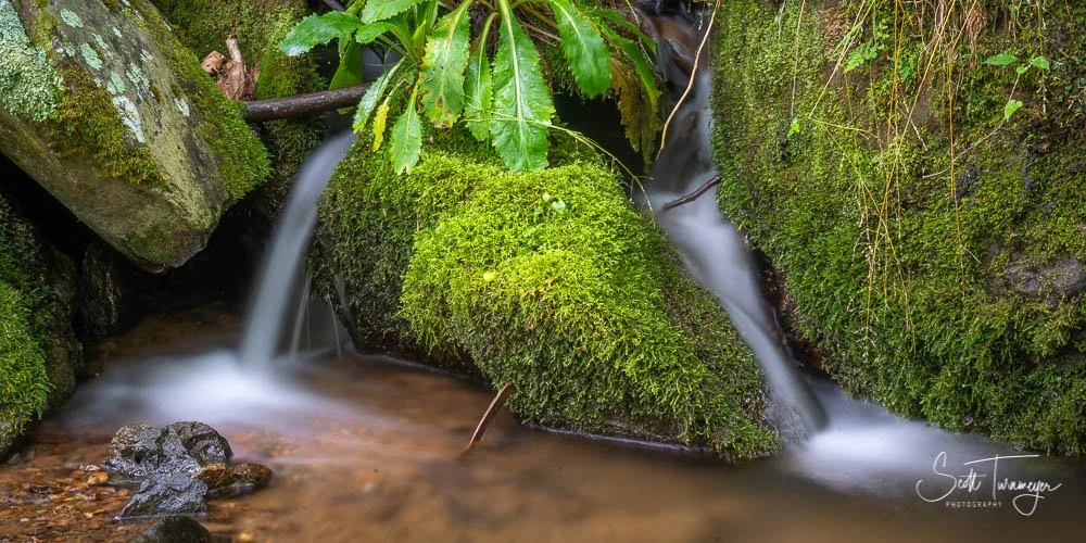 Spring waterfall in Shenandoah National Park near Front Royal VA