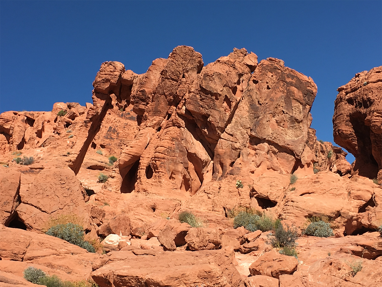 Elephant Rock formation in Valley of Fire State Park Nevada