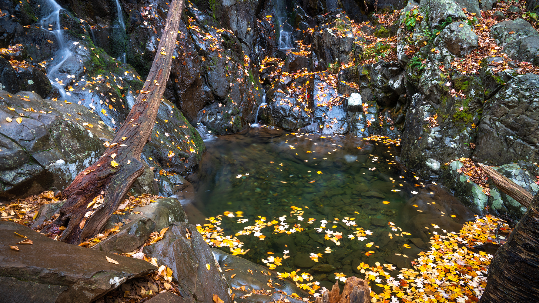 Rose River Trail waterfall in Shenandoah National Park