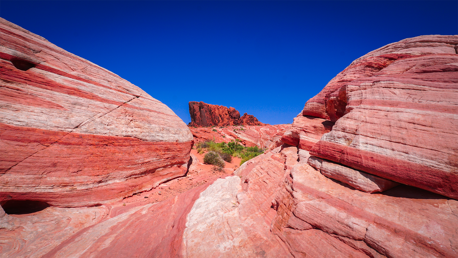 Fire Wave rock formation with red and white sandstone layers in Valley of Fire Nevada