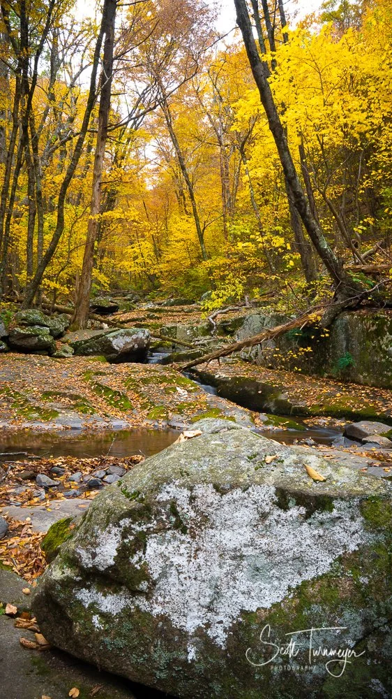 Dark Hollow Falls waterfall in Shenandoah National Park