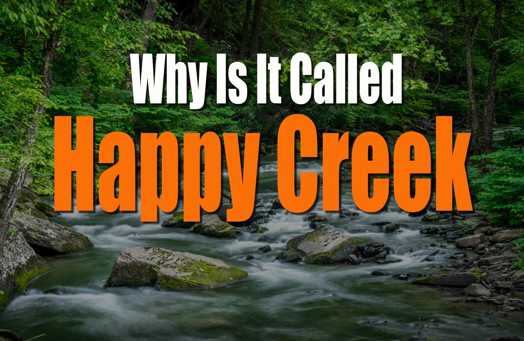 Happy Creek Photograph