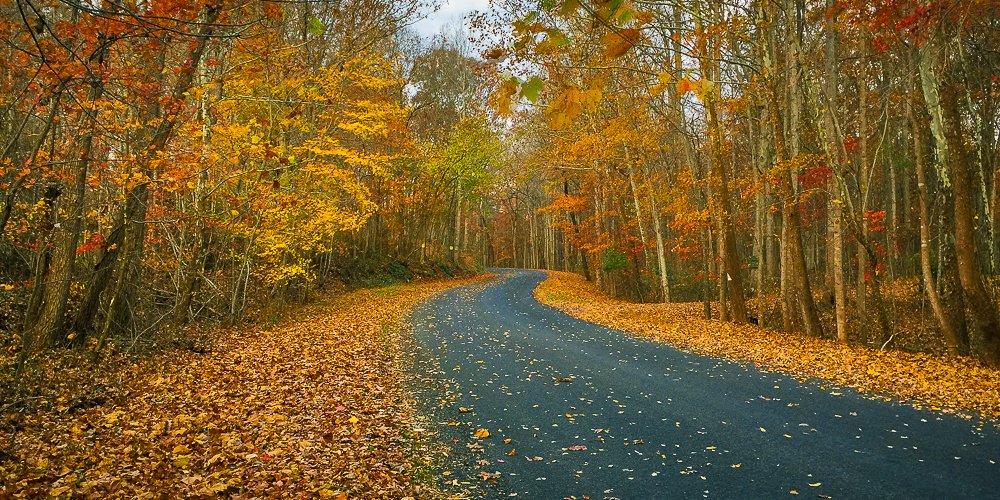 Fall colors along Skyline Drive in Shenandoah National Park