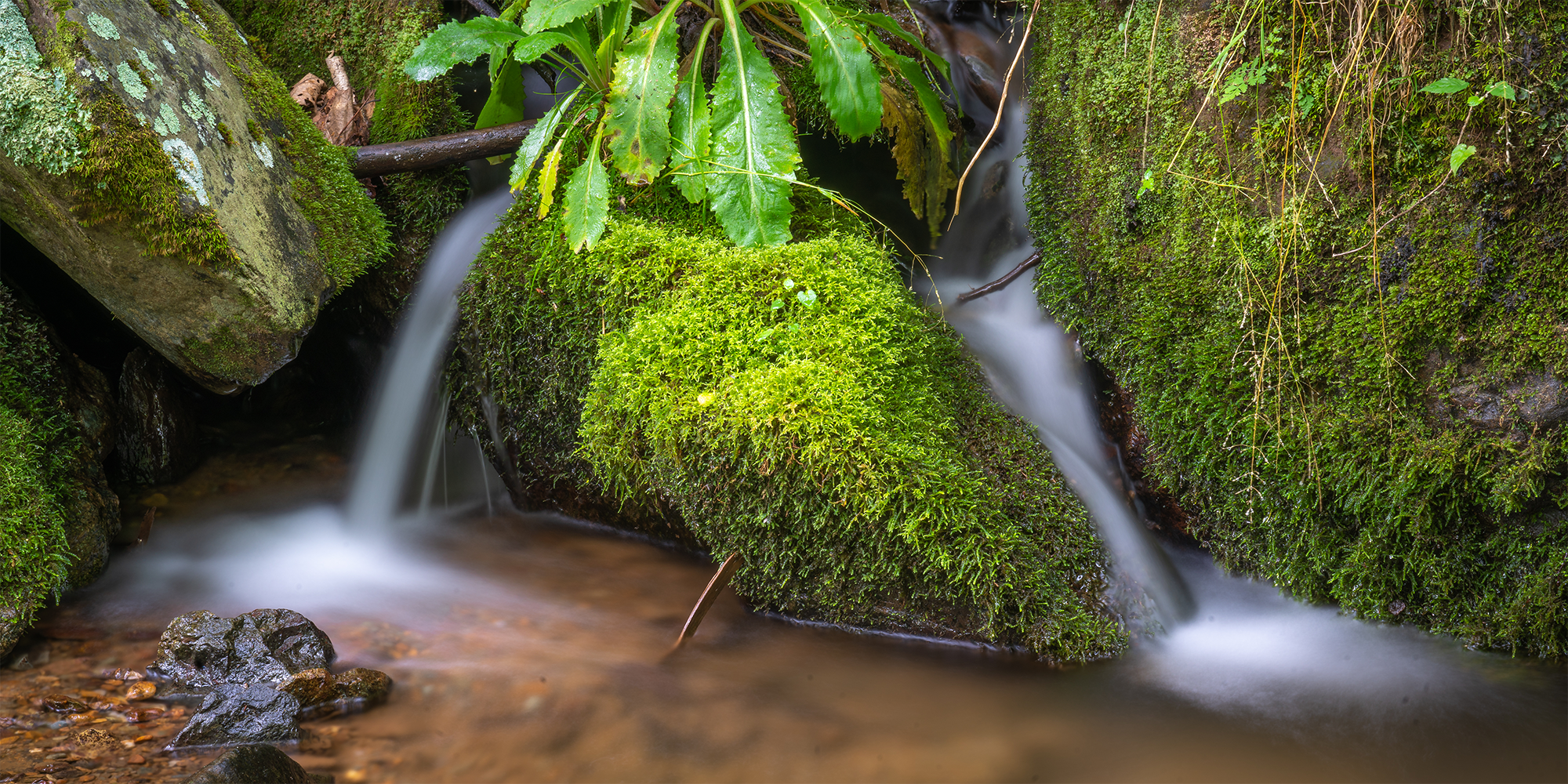 Dark Hollow Falls waterfall in Shenandoah National Park near Skyline Drive