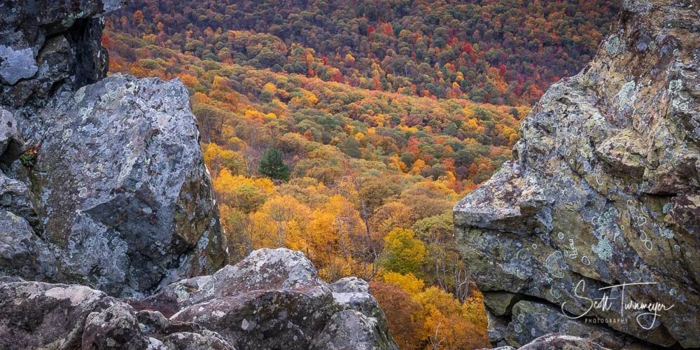 Little Stony Fall Foliage