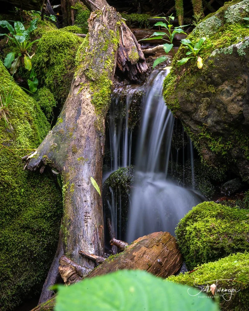Whiteoak Canyon waterfall in Shenandoah National Park