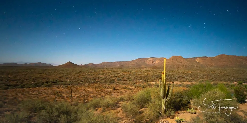 Sonoran Desert night photography under a full moon near Phoenix Arizona with cactus and mountains lit by moonlight