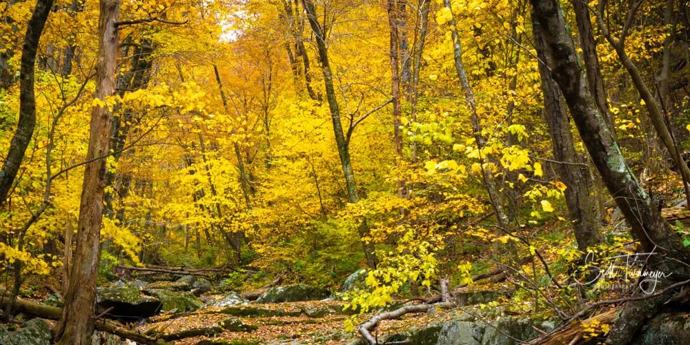 Dark Hollow Falls waterfall trail in Shenandoah National Park