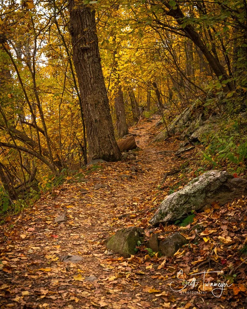 Fall hiking trail in Shenandoah National Park