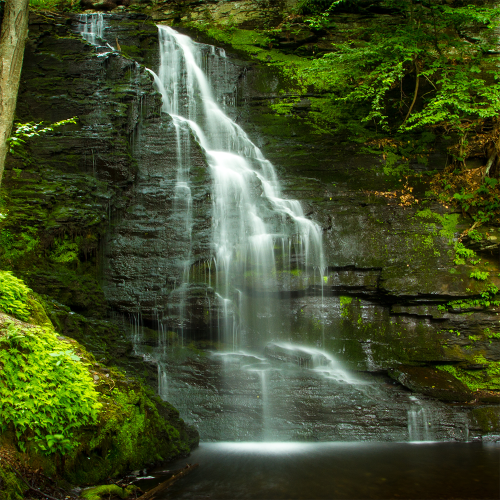 Scenic waterfall in forest setting used for immersive photography retreat experience.