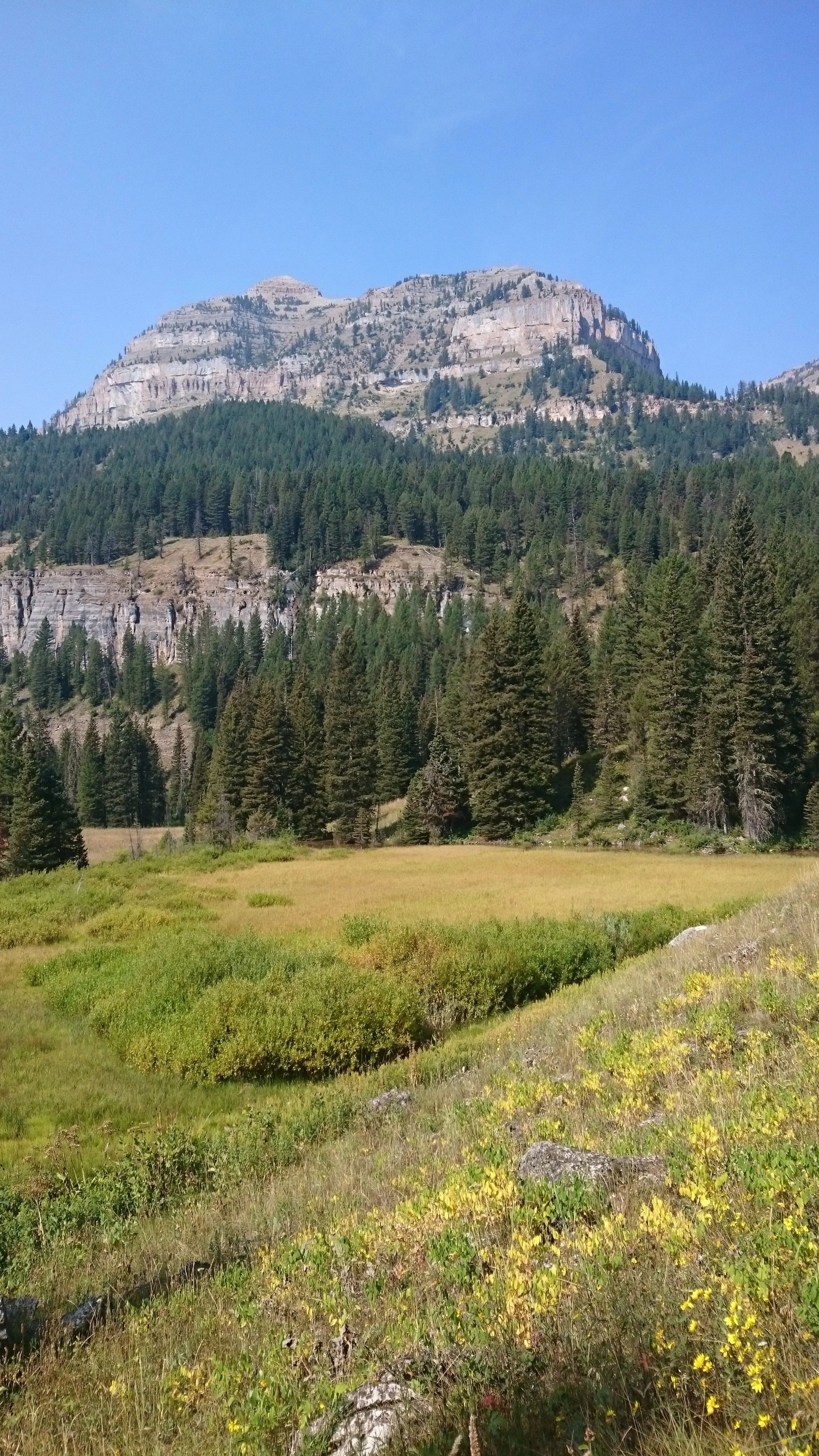 DSC_0567.JPG