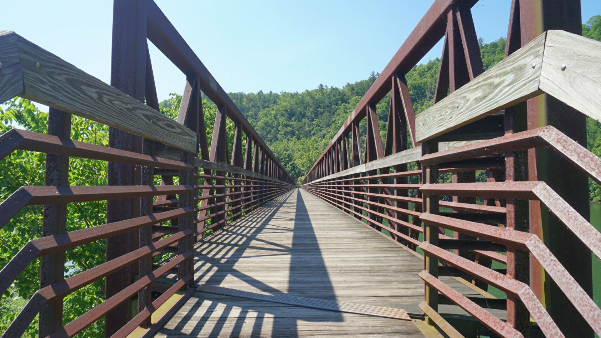 Snakes, Waterfalls, and Jumping Off Bridges (13 photos, 1 video)