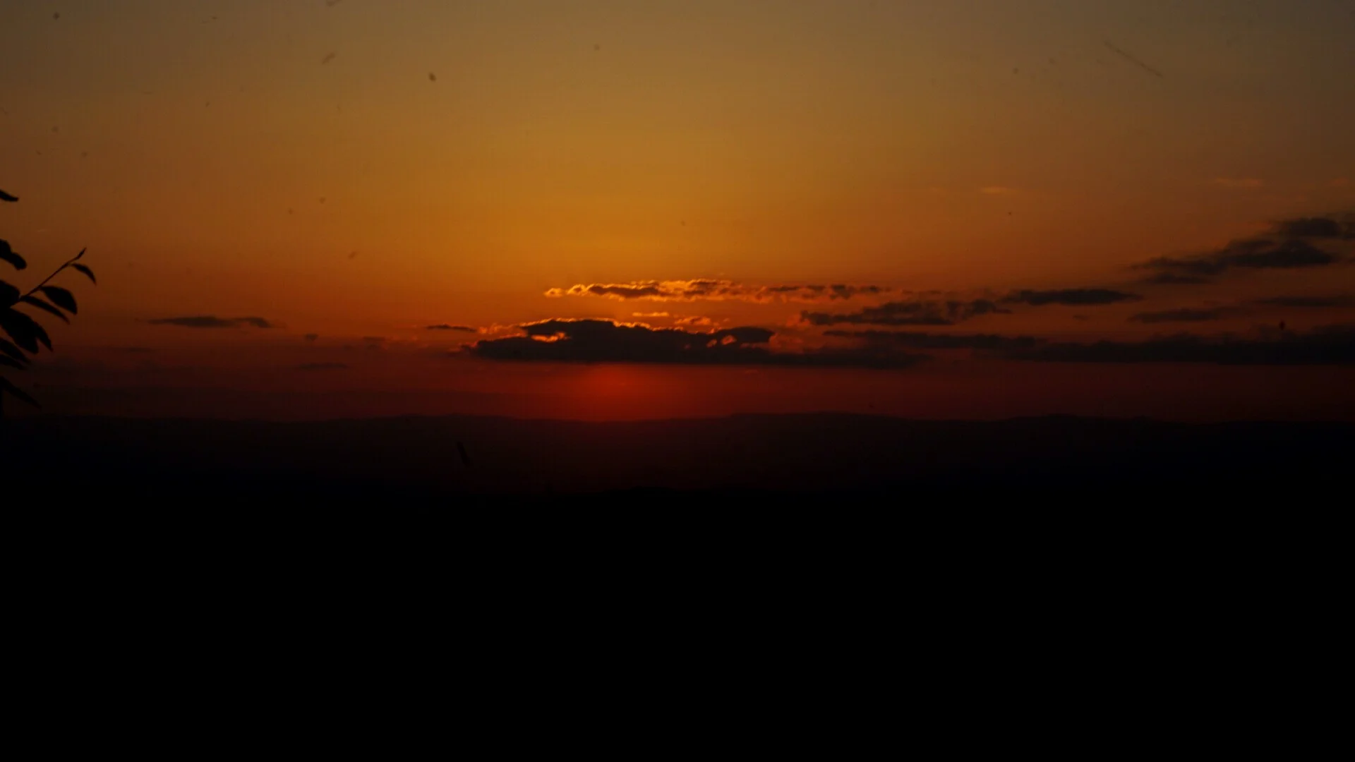 The Shenandoahs (13 photos, 1 video)