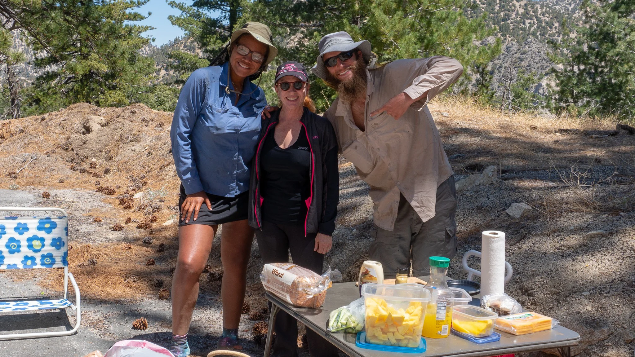 Thanks to Janelle for the TWO trail magics in the same day!