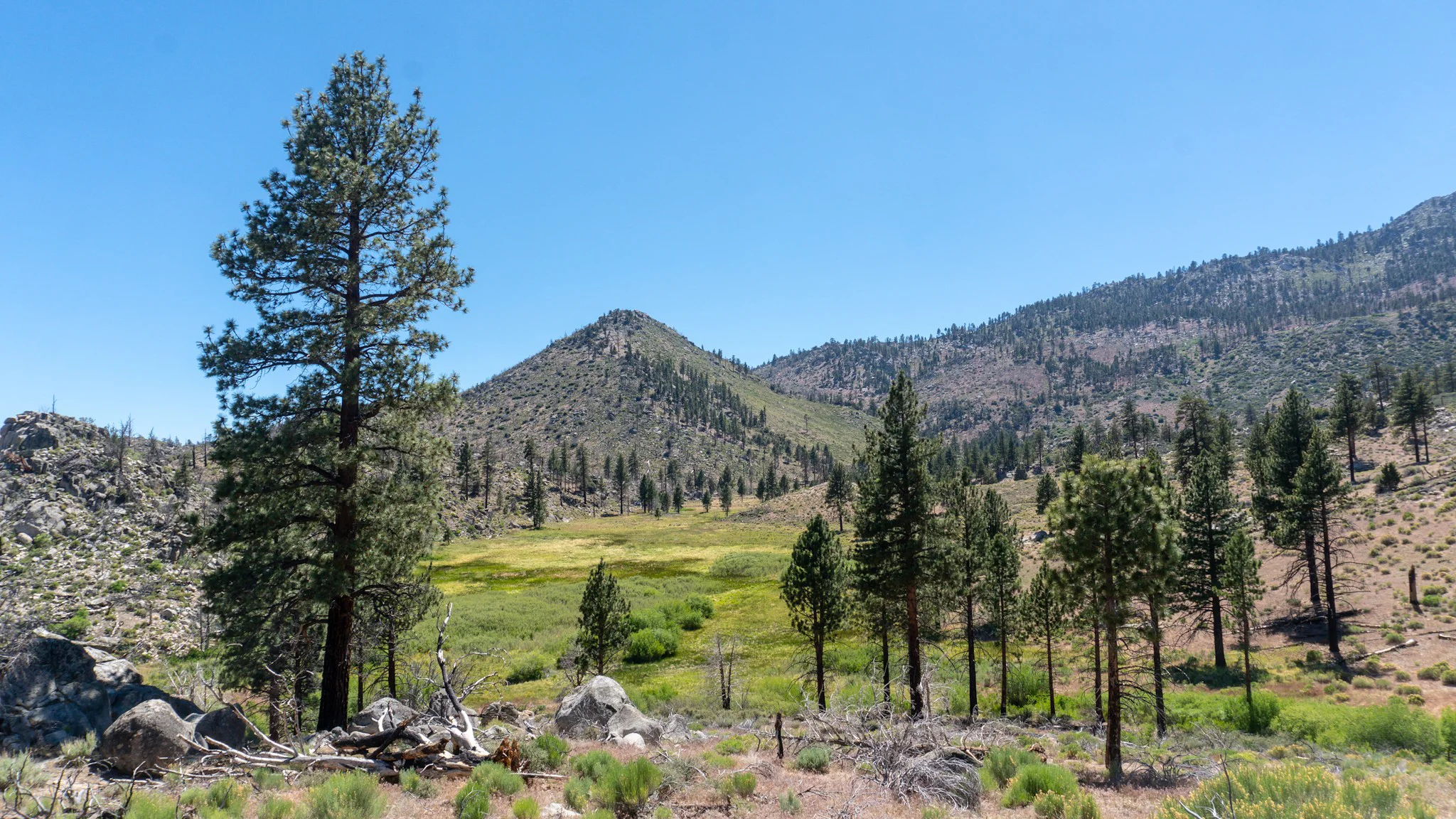 So beautiful! But this is just the tip of the iceberg.