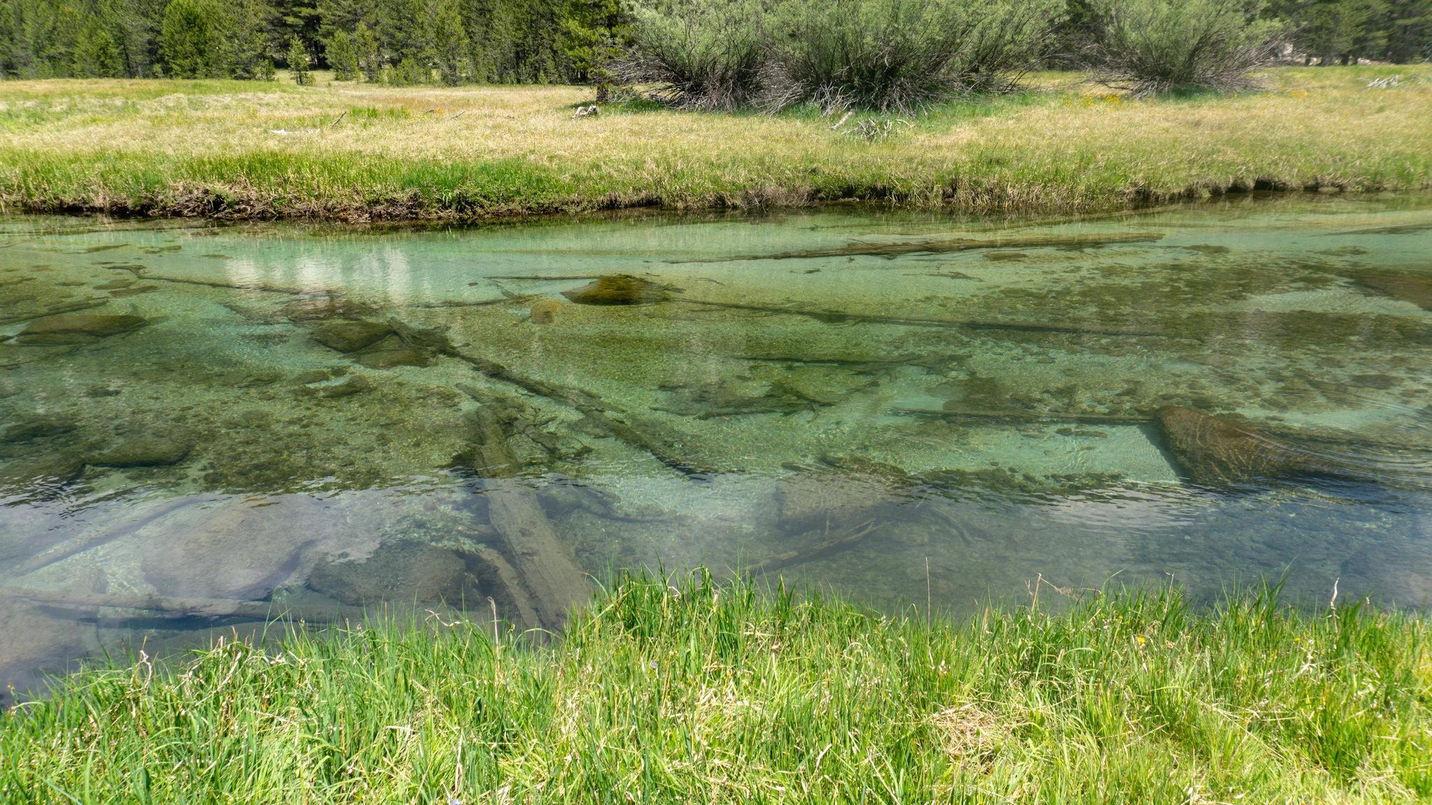 Lyell Fork.