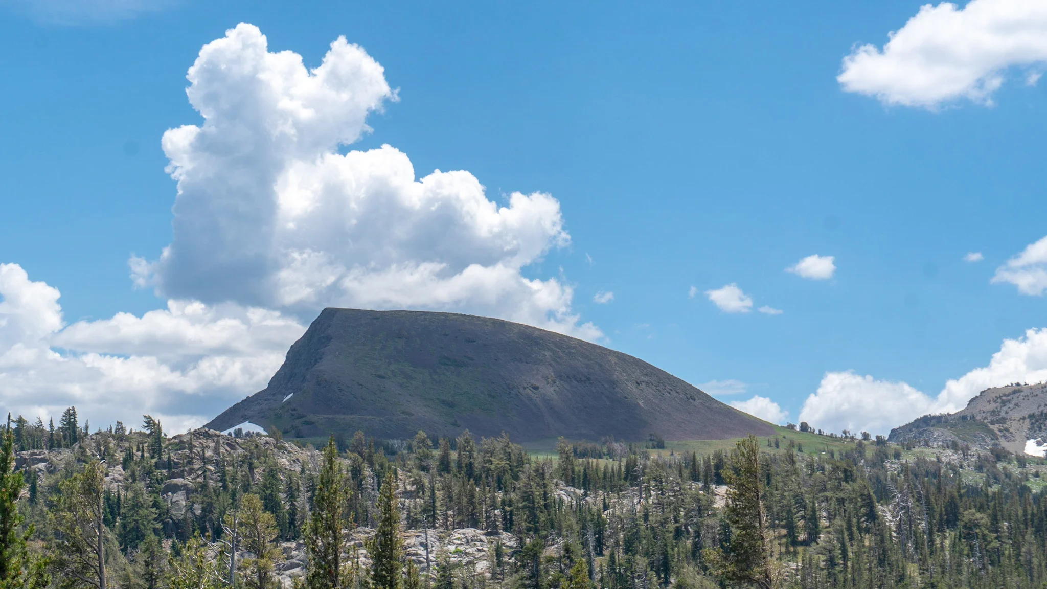 Elephant's Back, Carson Pass.