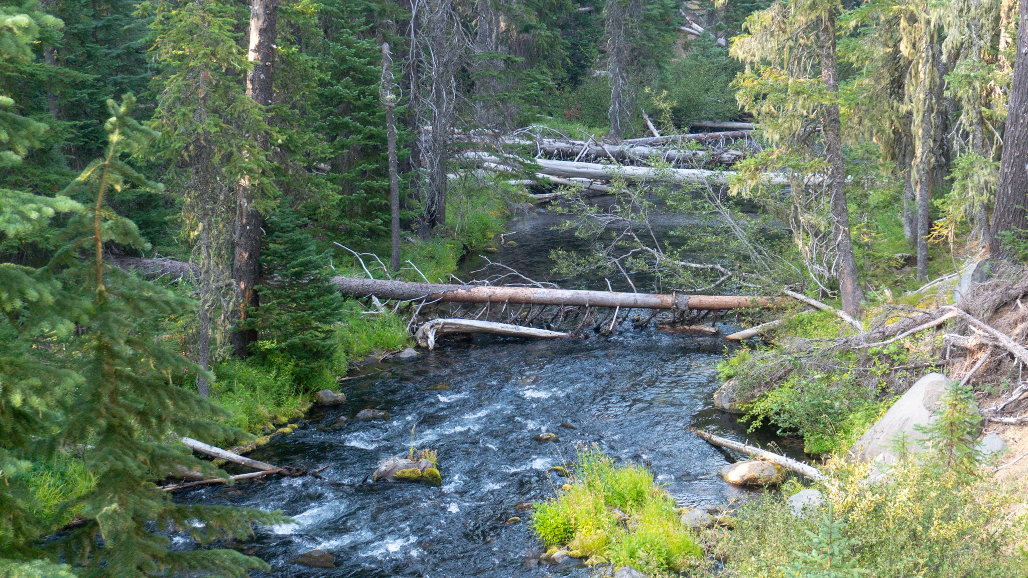 Many log bridges over Whitefish Creek.