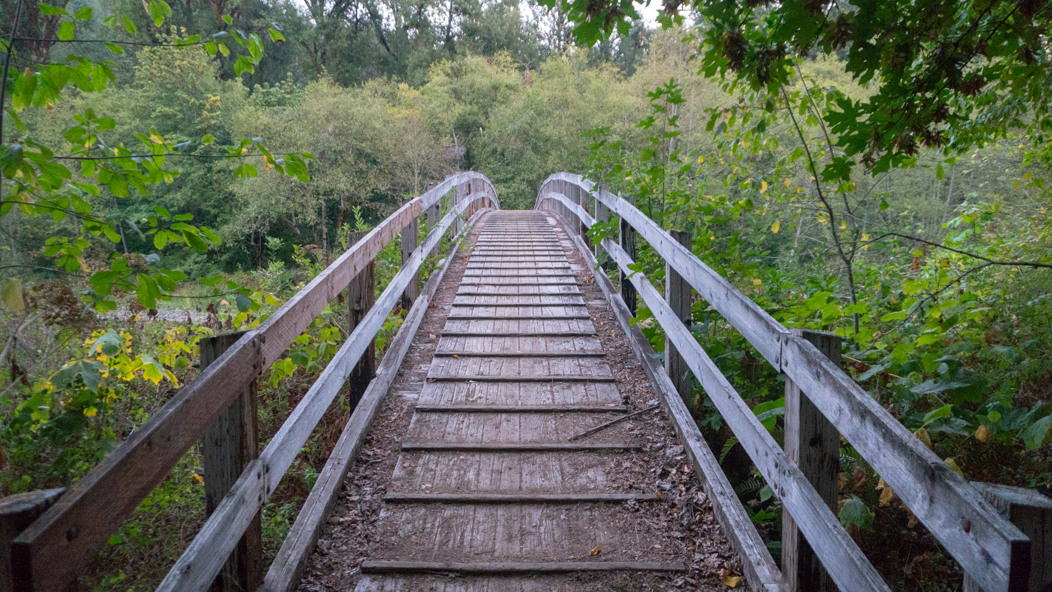 WA Section H-1: Bridges, Stars, Teepees, Clouds, and Blueberries (15 photos)