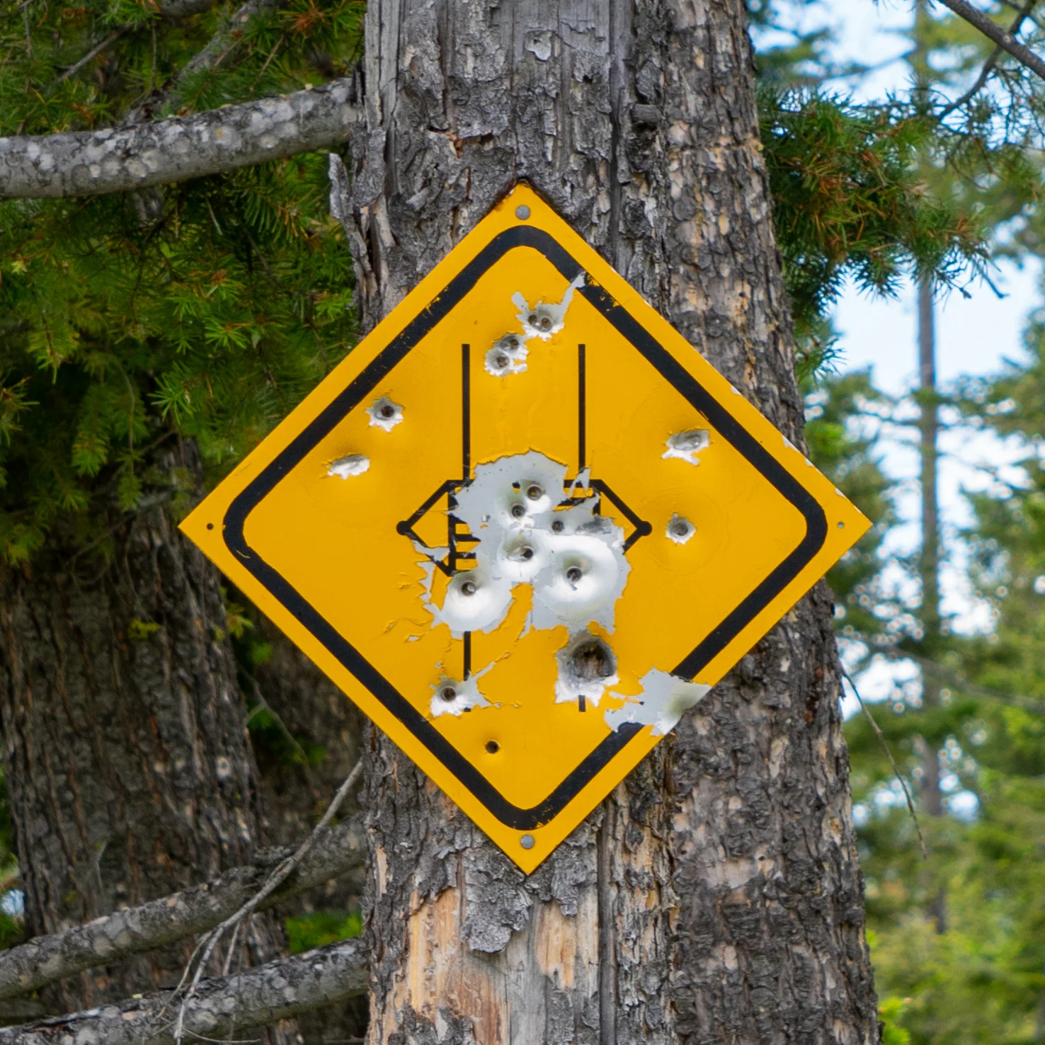 You know you're in the country when…