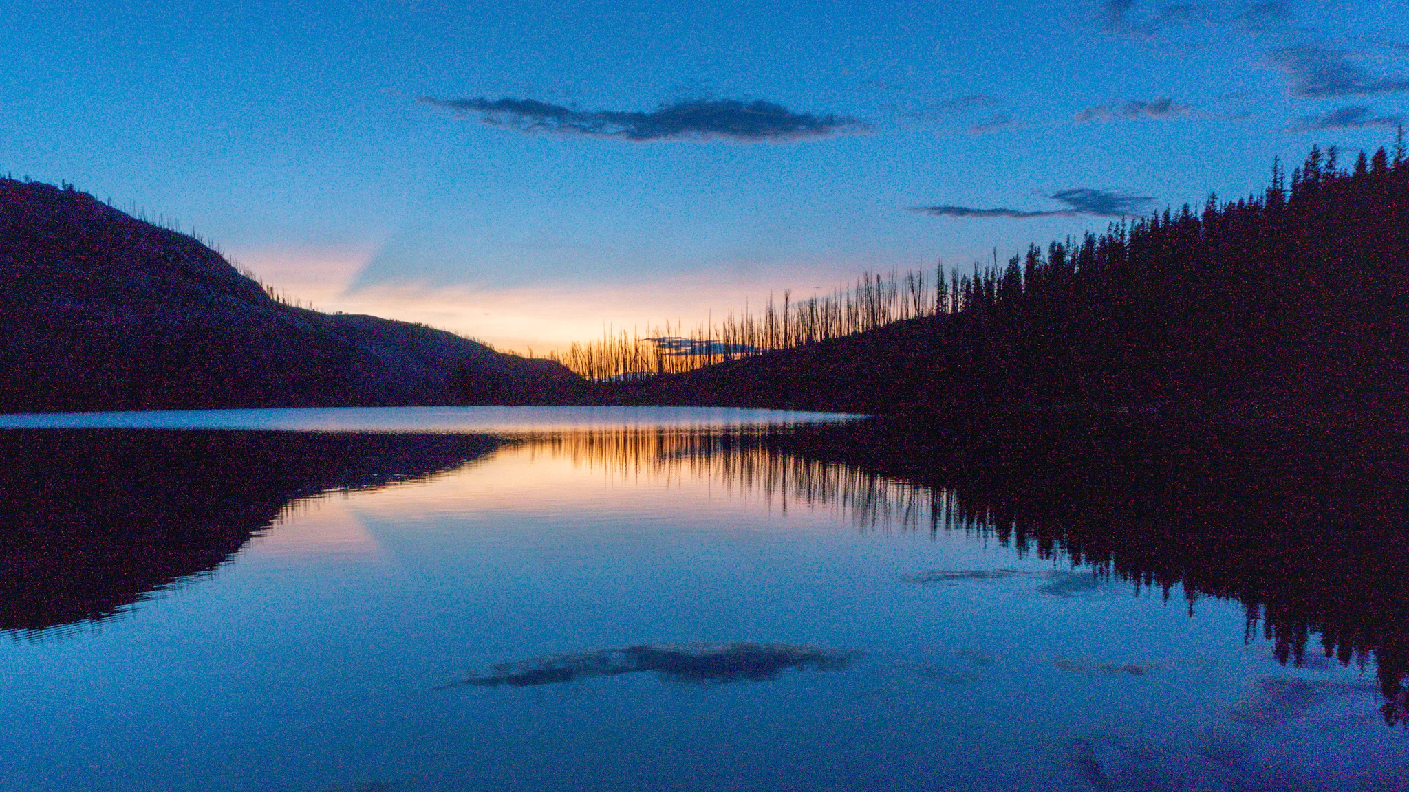 Section 5: The Pintler Wilderness. Lakes, Burn Zones, and walking through a Plague (27 photos, 2 videos)