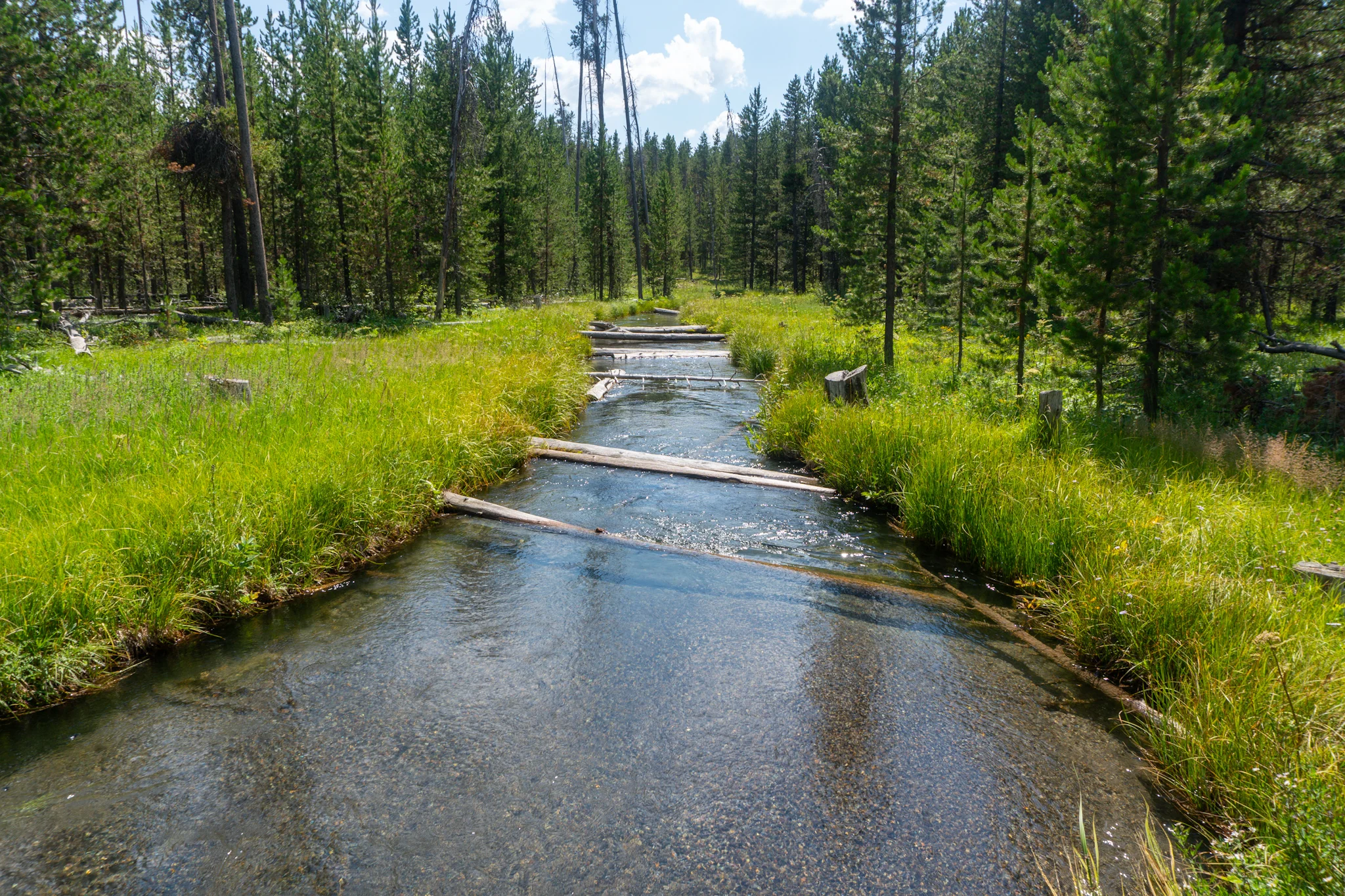Section 8: The Last of Montana & Idaho, The Sheep Experiment, Evil Radars, and into Yellowstone NP (30 photos, 1 video)