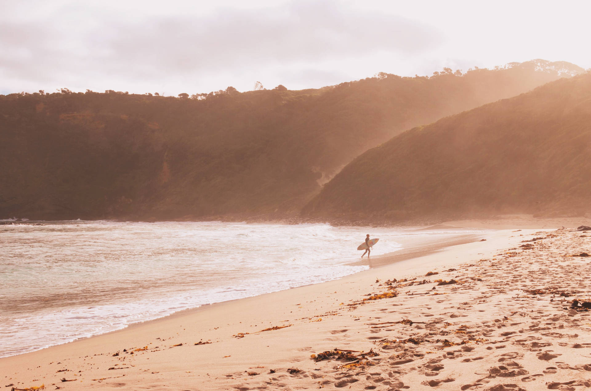 Melbourne, May 2018.