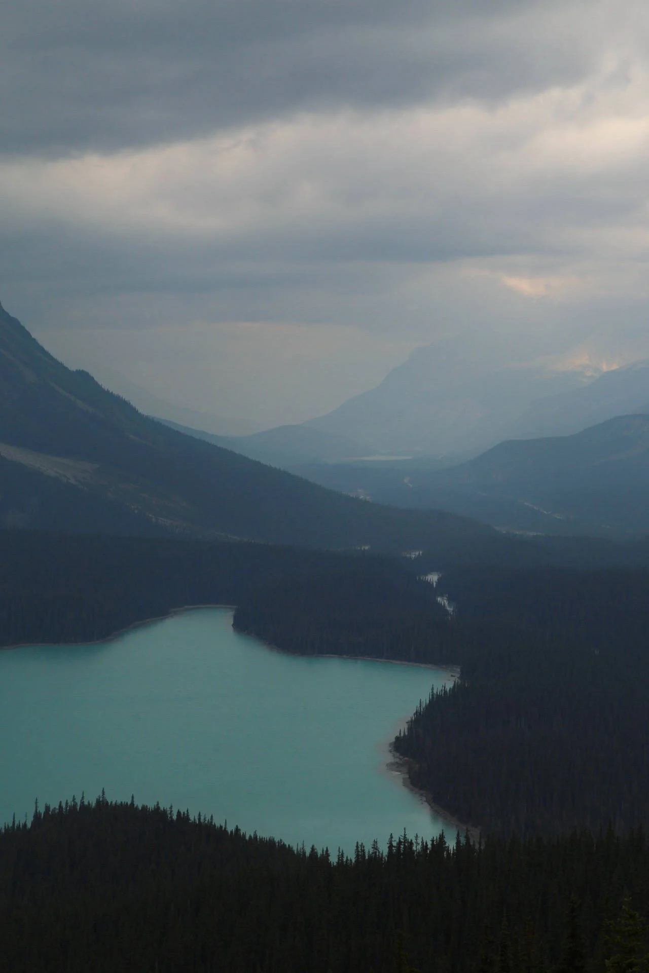 Peyto Lake, Banff, Canada, August 2017.