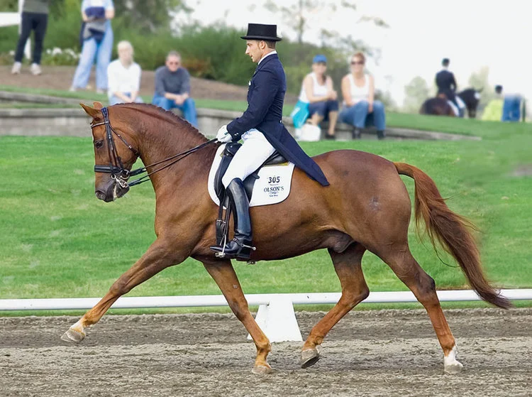 Jeremy Steinberg Clinic