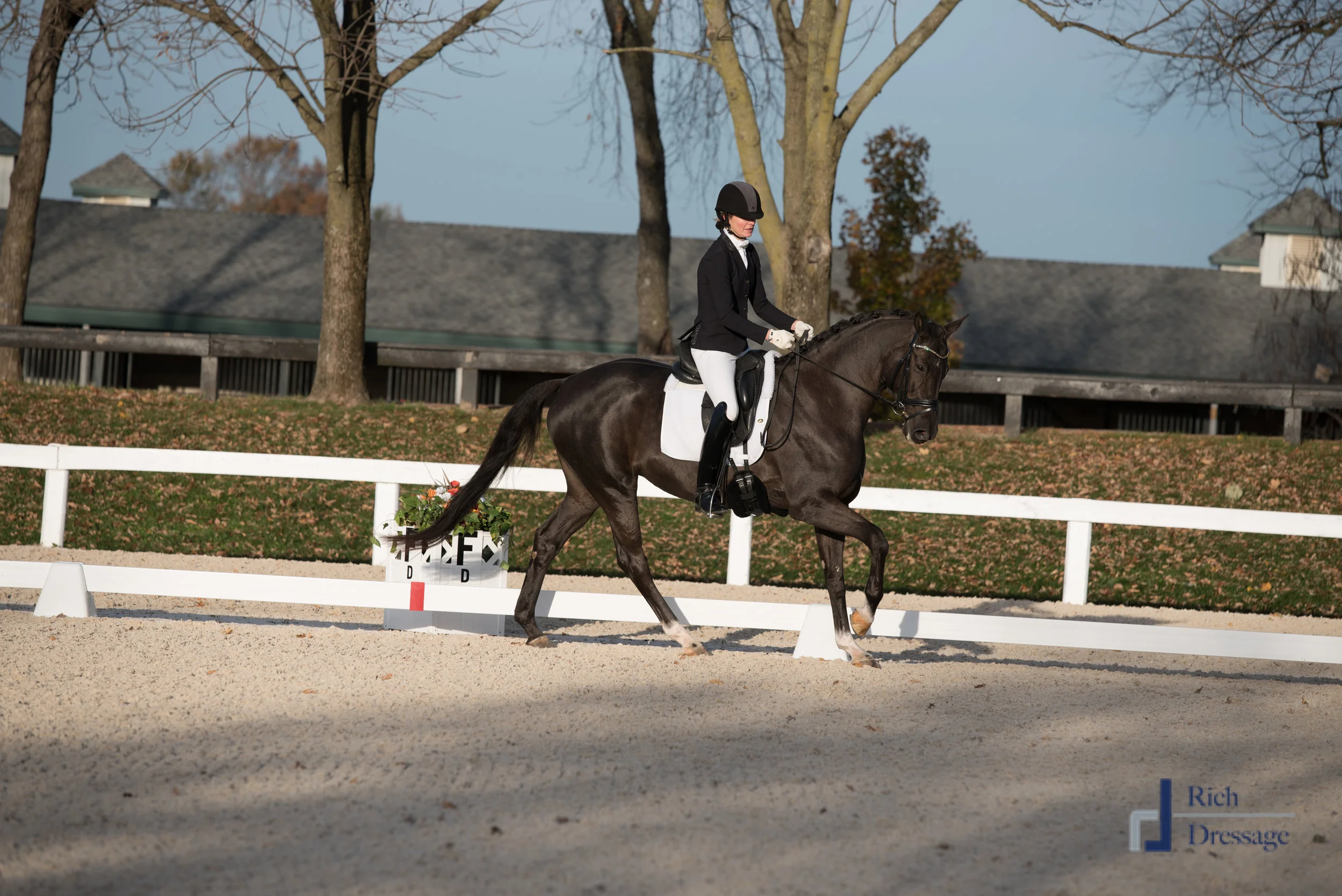 USDF Nationals 2017 (331 of 494).jpg