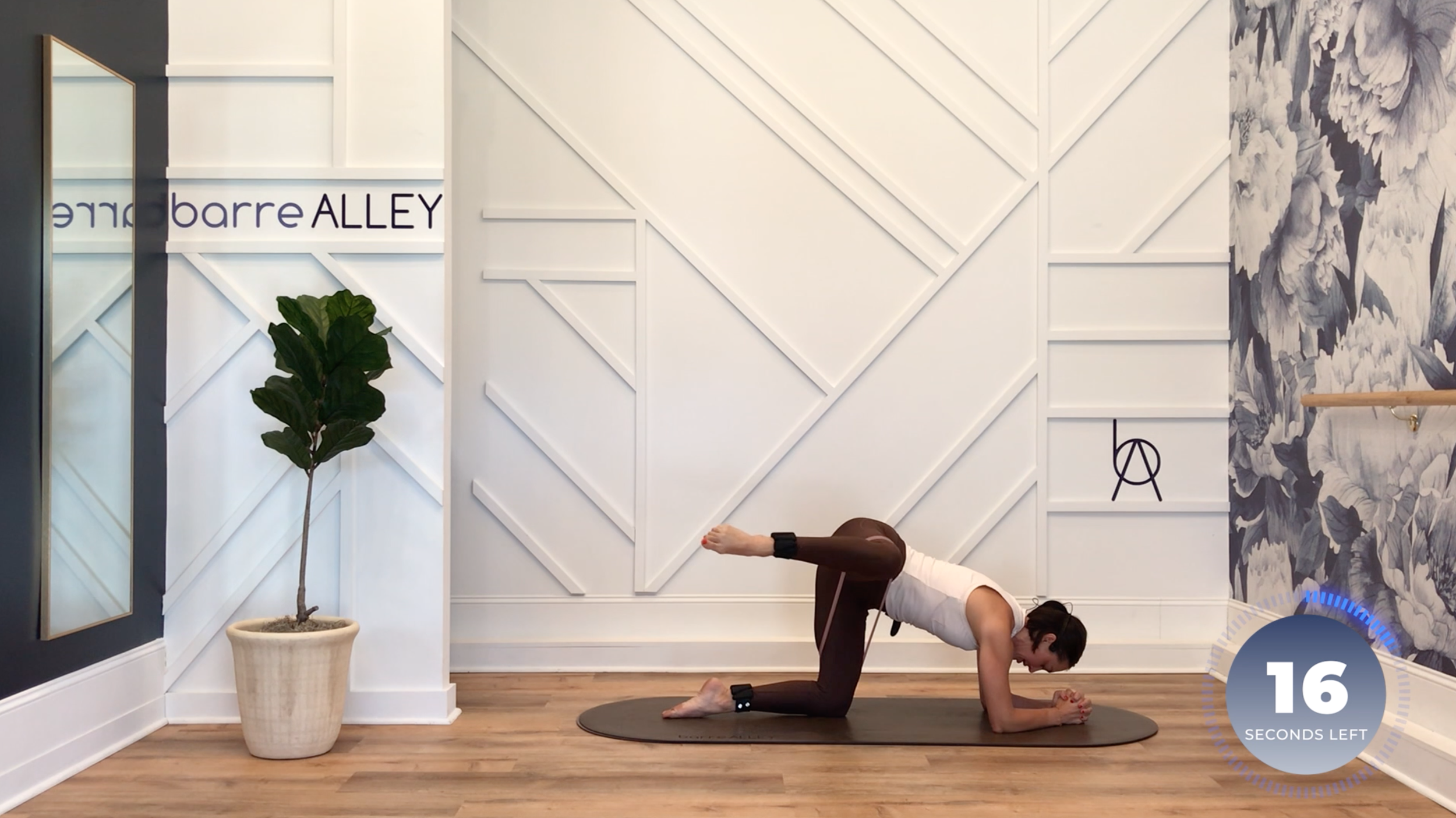 Screen Shot 2023-08-27 at 4.11.48 PM.png