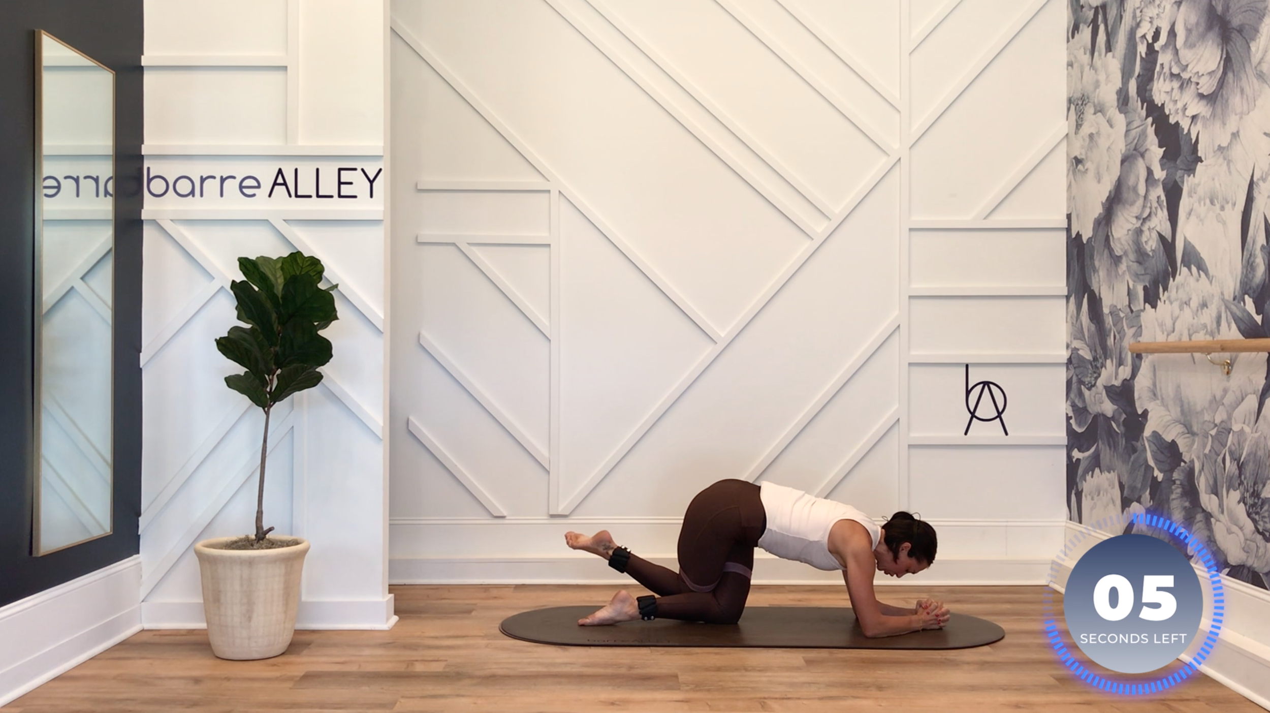 Screen Shot 2023-08-27 at 4.12.37 PM.png