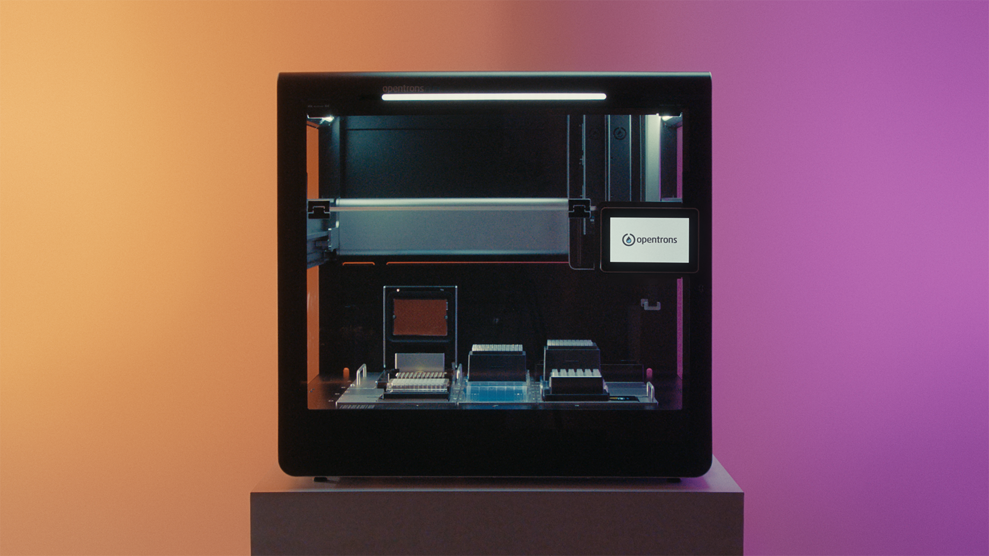 Flex Educational-0007.png