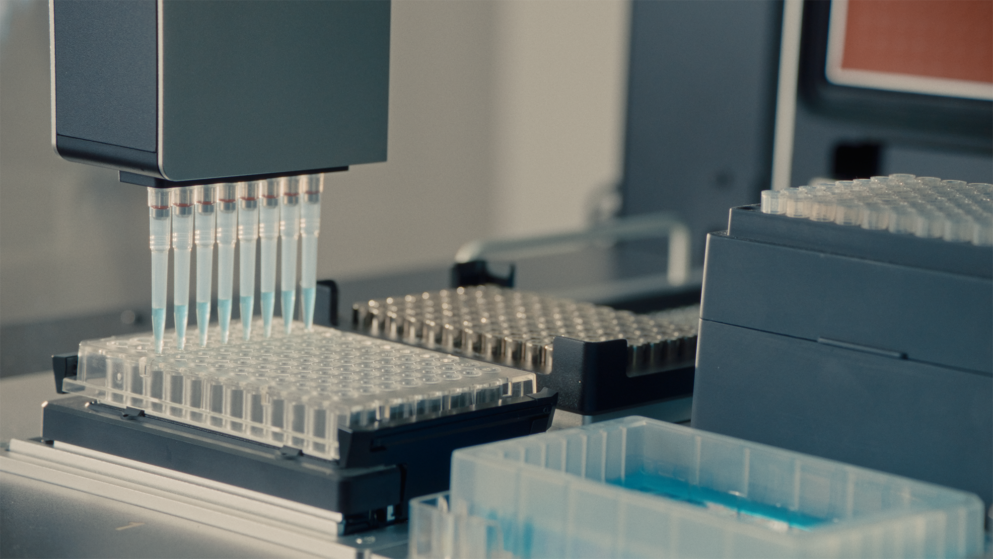 Flex Educational-0012.png