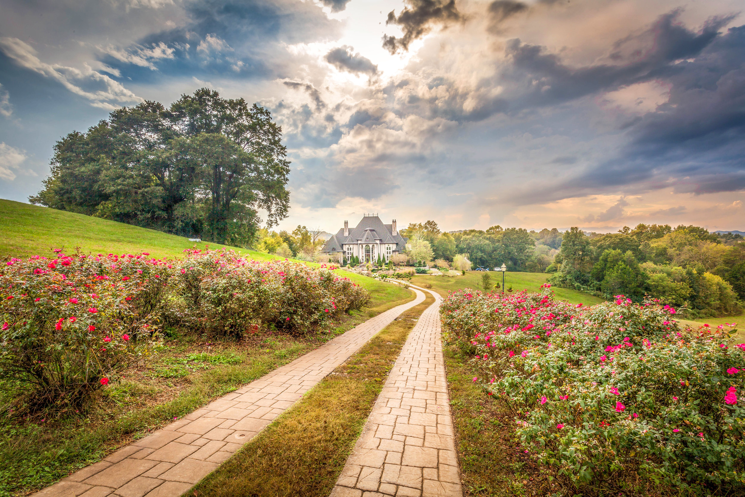 Yellow Brick Road by 161 Photography