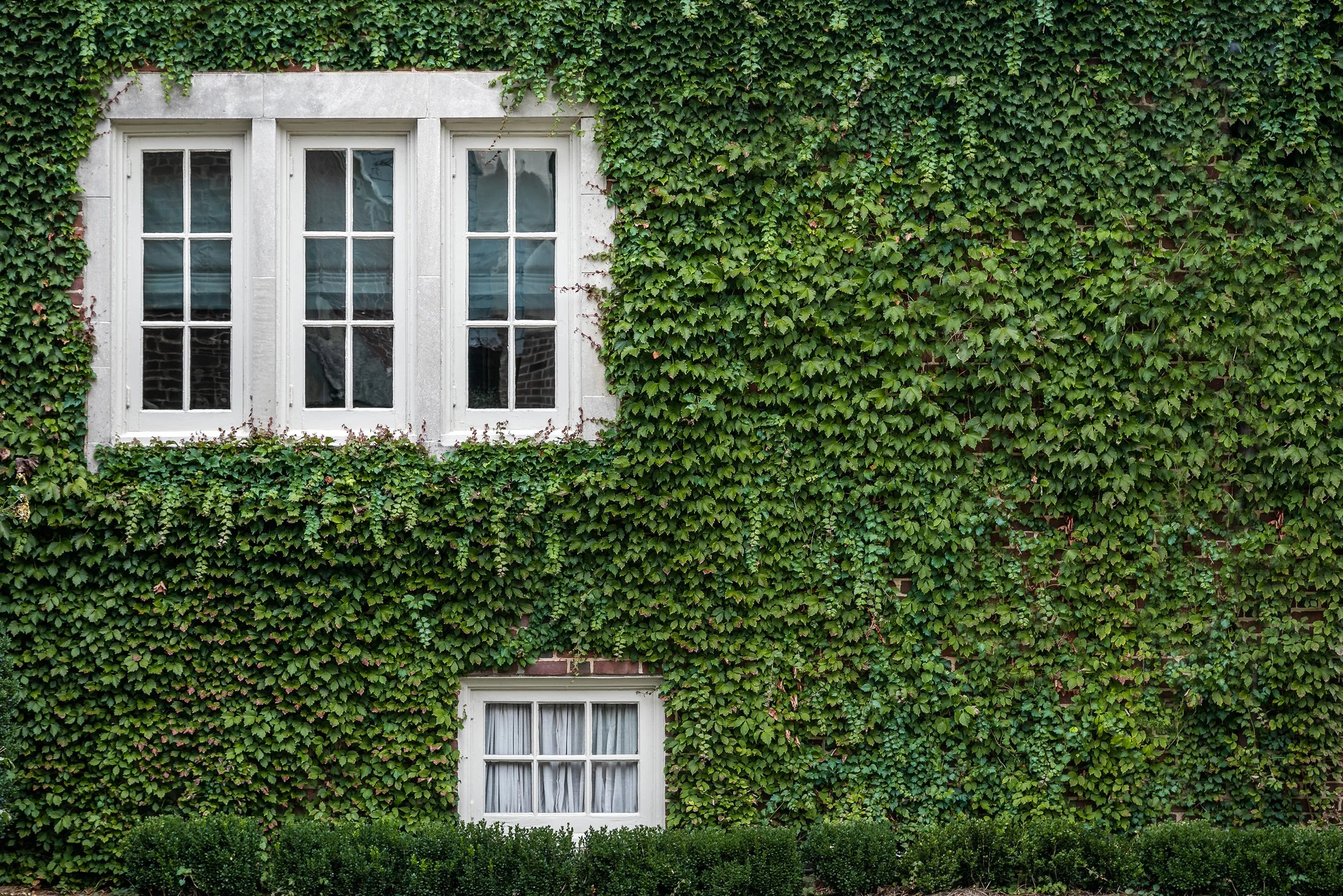 1508 Edgewood Cir_Ivy Wall_JCC Design_by 161 Photography.jpg