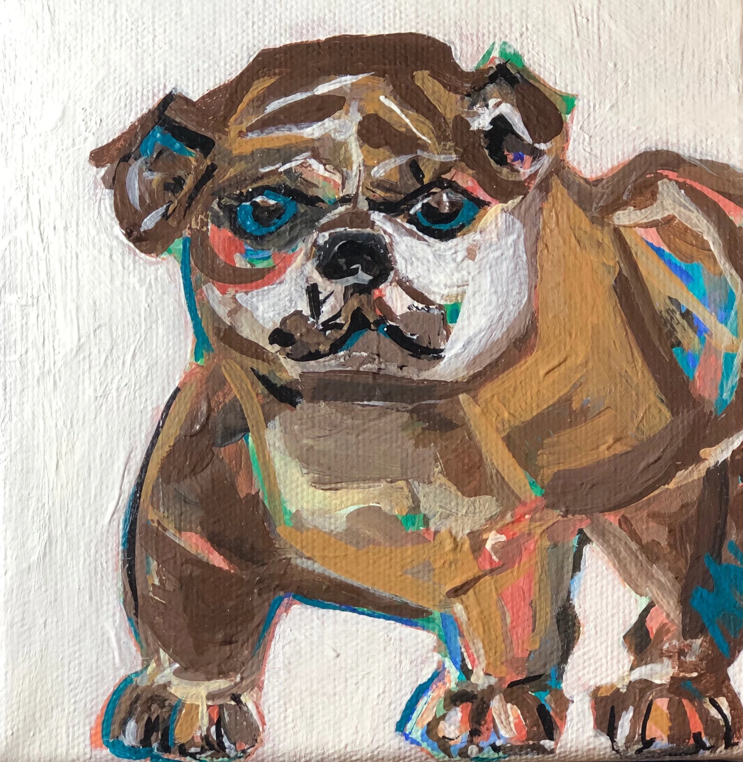 BulldogSugarSpice.jpg
