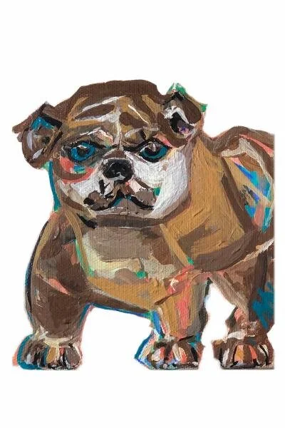 bulldogcard.jpeg