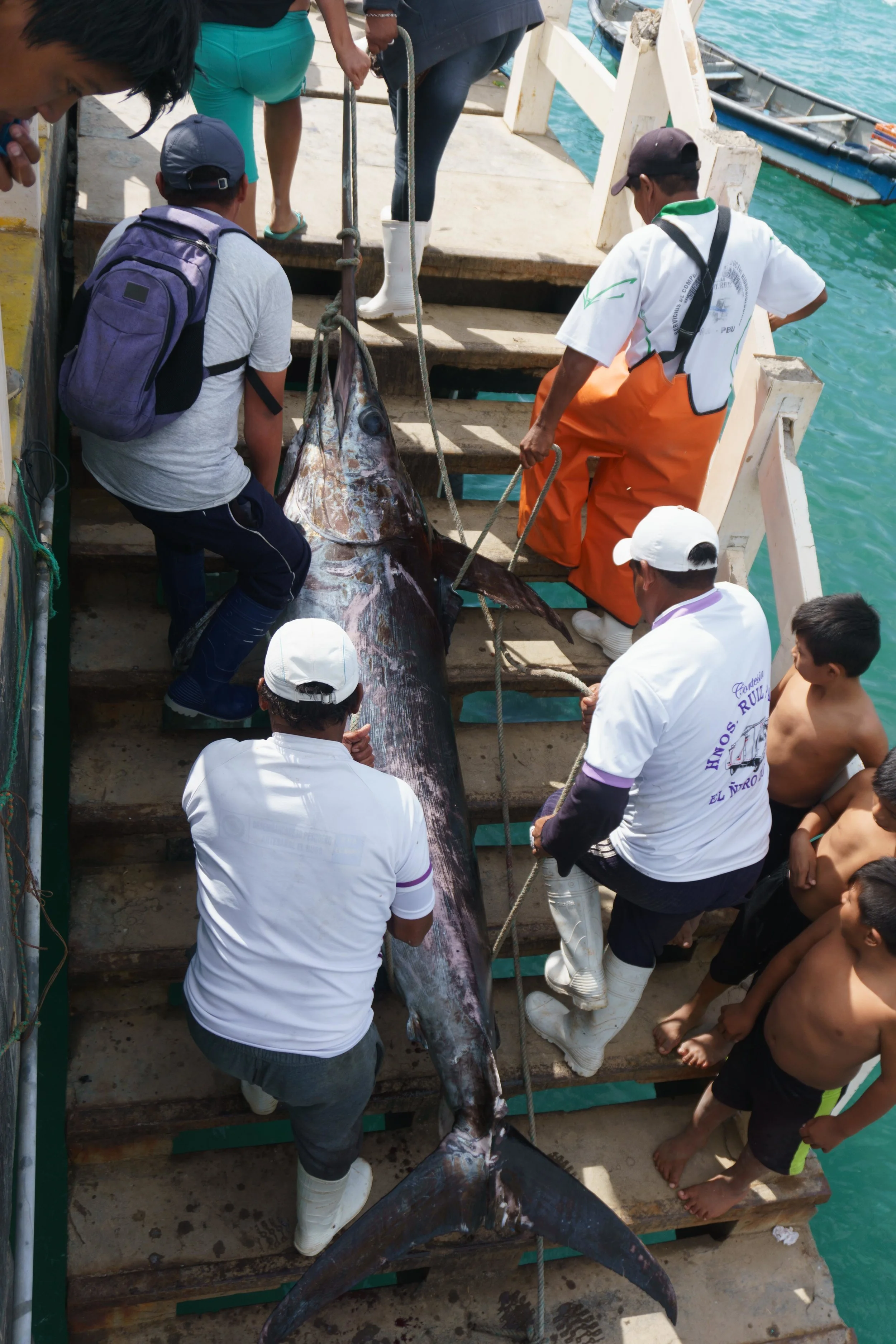 Mancora