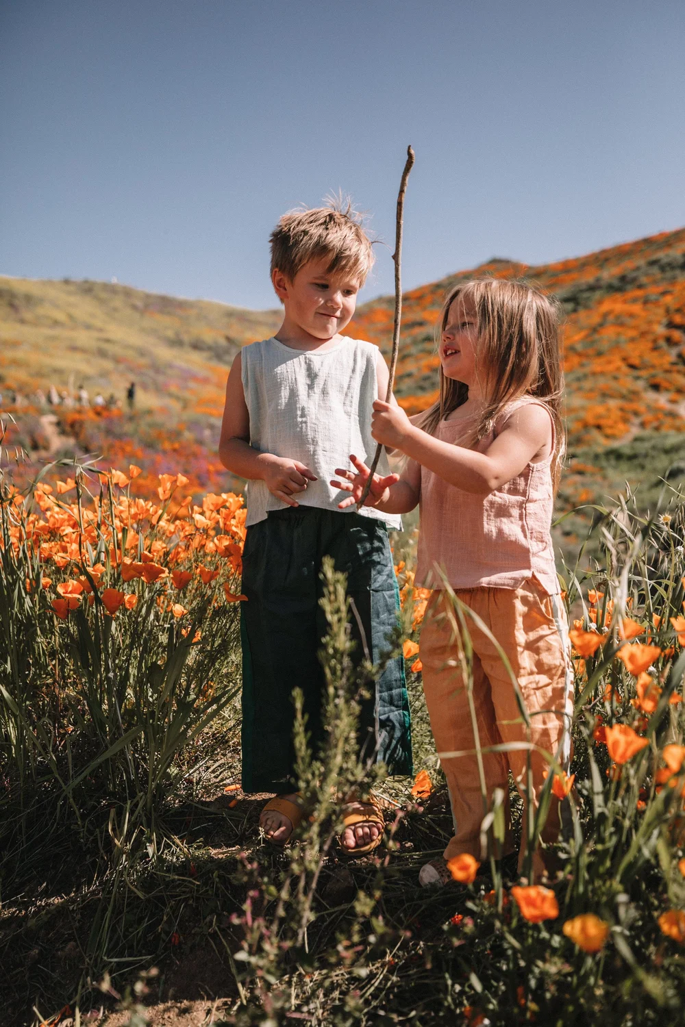 The Super Bloom - Amber Fillerup Clark.jpeg